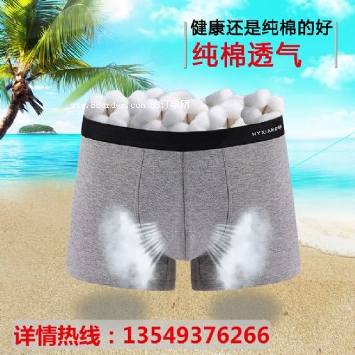 2016年東莞男士內(nèi)褲價格|立揚(yáng)男人的選擇